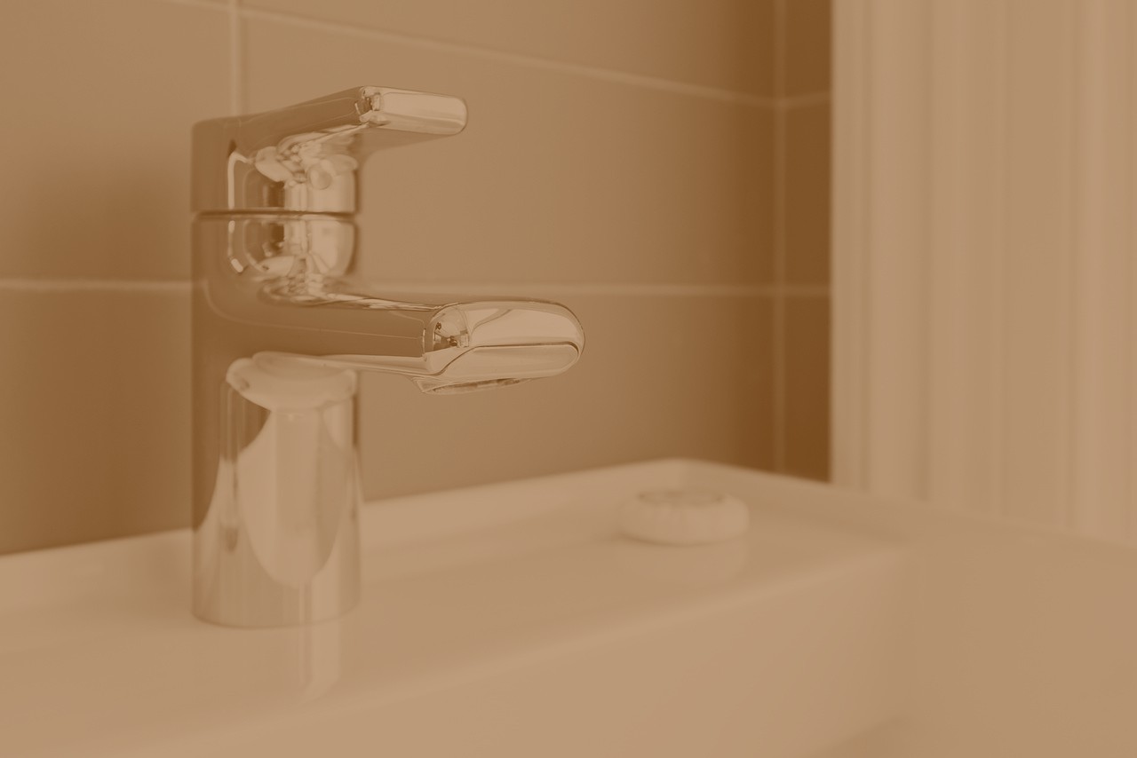 TEST 6 / LOREM IPSUM